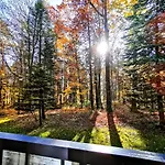 Okna Na Park * Bad Altheide