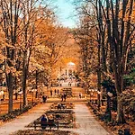 Okna Na Park * Bad Altheide