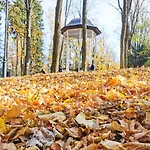 Okna Na Park *