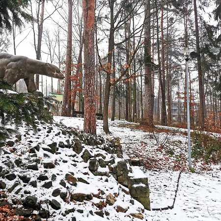 Okna Na Park Appartamento Polanica-Zdrój