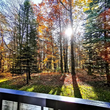 Okna Na Park * Polanica-Zdroj