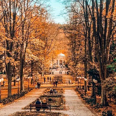 Okna Na Park * Polanica-Zdrój