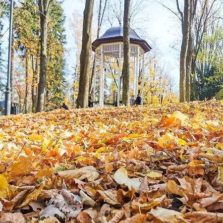 Okna Na Park *