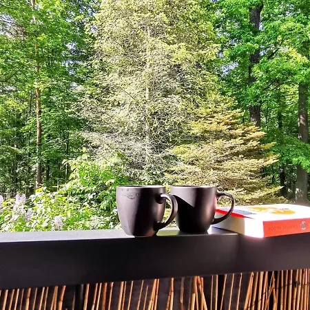 Okna Na Park Apartment