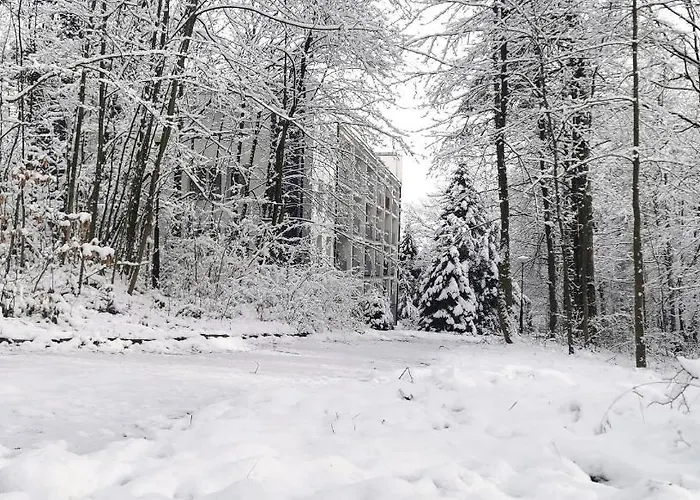 Lejlighed Okna Na Park *