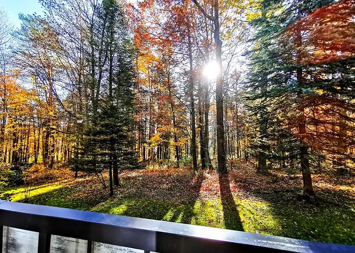 Okna Na Park * Polanica-Zdrój