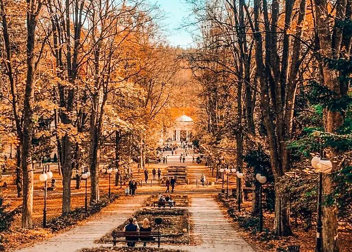 Okna Na Park * Polanica-Zdrój