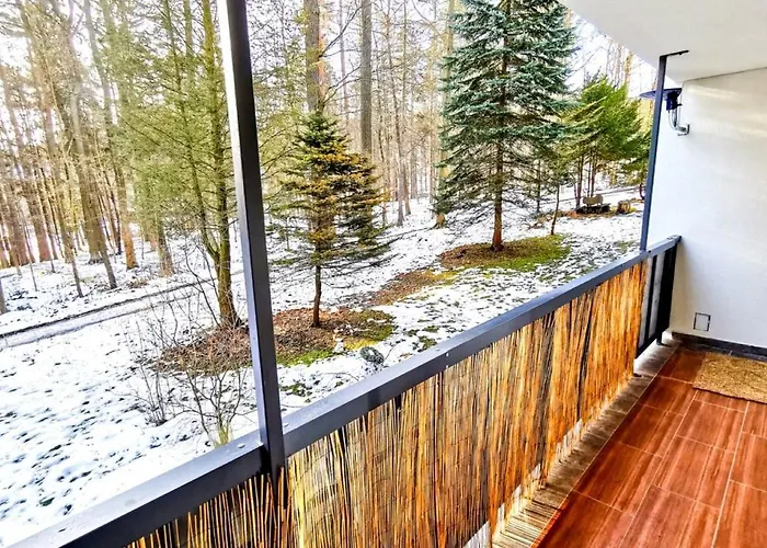 Okna Na Park Lejlighed