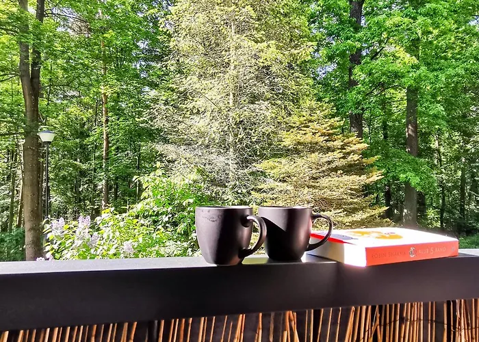 Okna Na Park Lejlighed